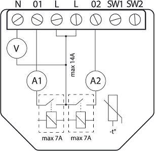Shelly Qubino Wave 2PM