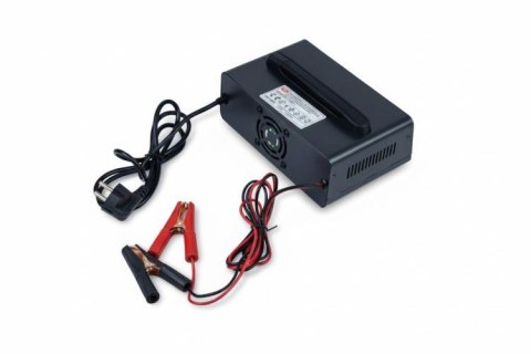 Prostownik Smart Volt Polska 12V/24V 15A A20 Black