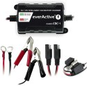 Ładowarka prostownik do akumulatorów 6V/12V everActive 14V/1A CBC-1 Ładowarka prostownik do akumulatorów 6V/12V everActive 14V/1A CBC-1