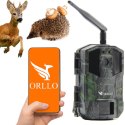 Kamera leśna Orllo Huntercam 3 GSM Fotopułapka Kamera leśna Orllo Huntercam 3 GSM Fotopułapka