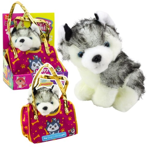Piesek Husky W Torebce Pluszowy Maskotka Przytulanka Biało Szary Piesek Husky W Torebce Pluszowy Maskotka Przytulanka Biało Szary