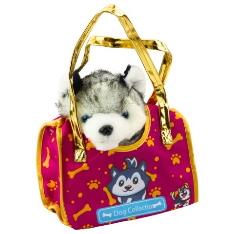 Piesek Husky W Torebce Pluszowy Maskotka Przytulanka Biało Szary Piesek Husky W Torebce Pluszowy Maskotka Przytulanka Biało Szary