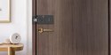 Inteligentny zamek cyfrowy Ezviz DL03 czarny